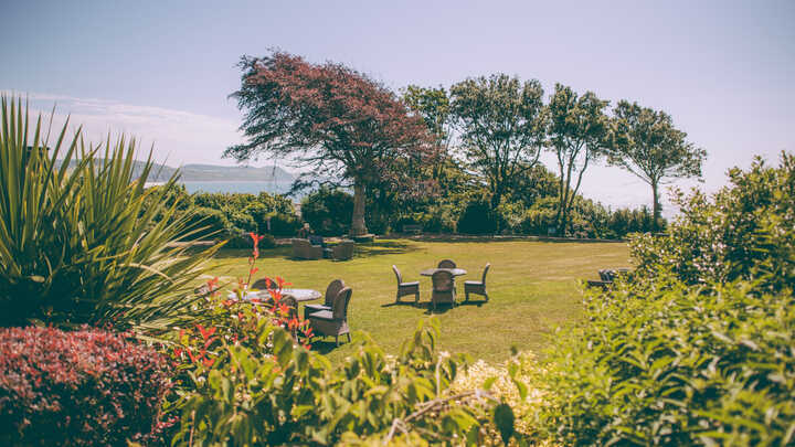 A Hidden Coastal Retreat in Dorset: Why the Alexandra Is Lyme Bay’s Best-Kept Secret