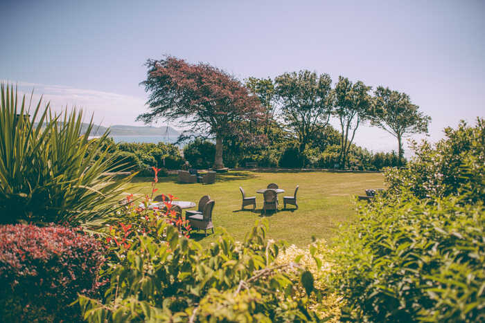 the garden at the alexandra in lyme regis