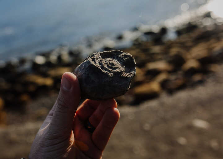 Things for children to do in Lyme Regis