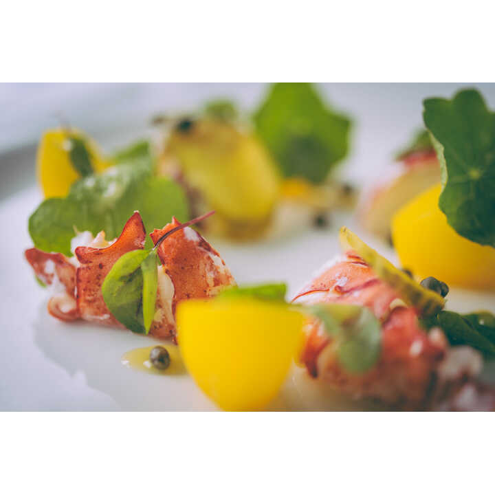 A gourmet dish featuring lobster, yellow tomatoes, and fresh greens on a white plate.
