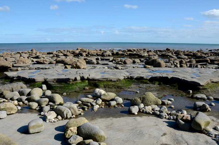 jurassic coast in lyme regis