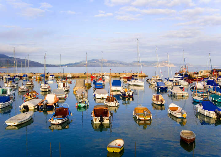 Summer Water Activities in Lyme Regis