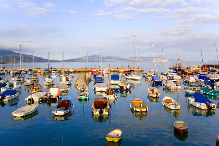 boats in lyme regis boats in lyme regis