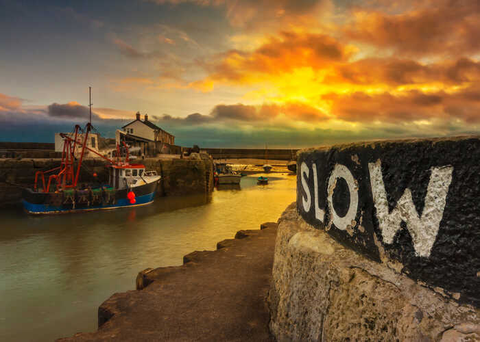 fishing lyme regis