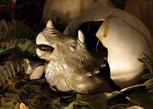 Dinosaurland Fossil Museum