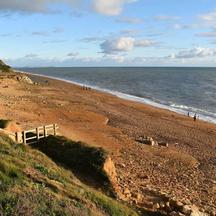Beach in Lyme Regis