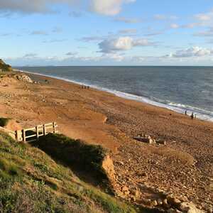 Beach in Lyme Regis