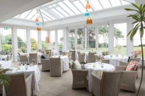 AMMONITE IN THE ORANGERY