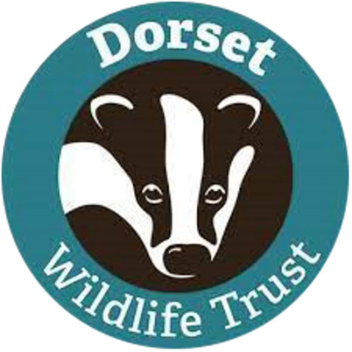 Dorset Wildlife Trust copy.png